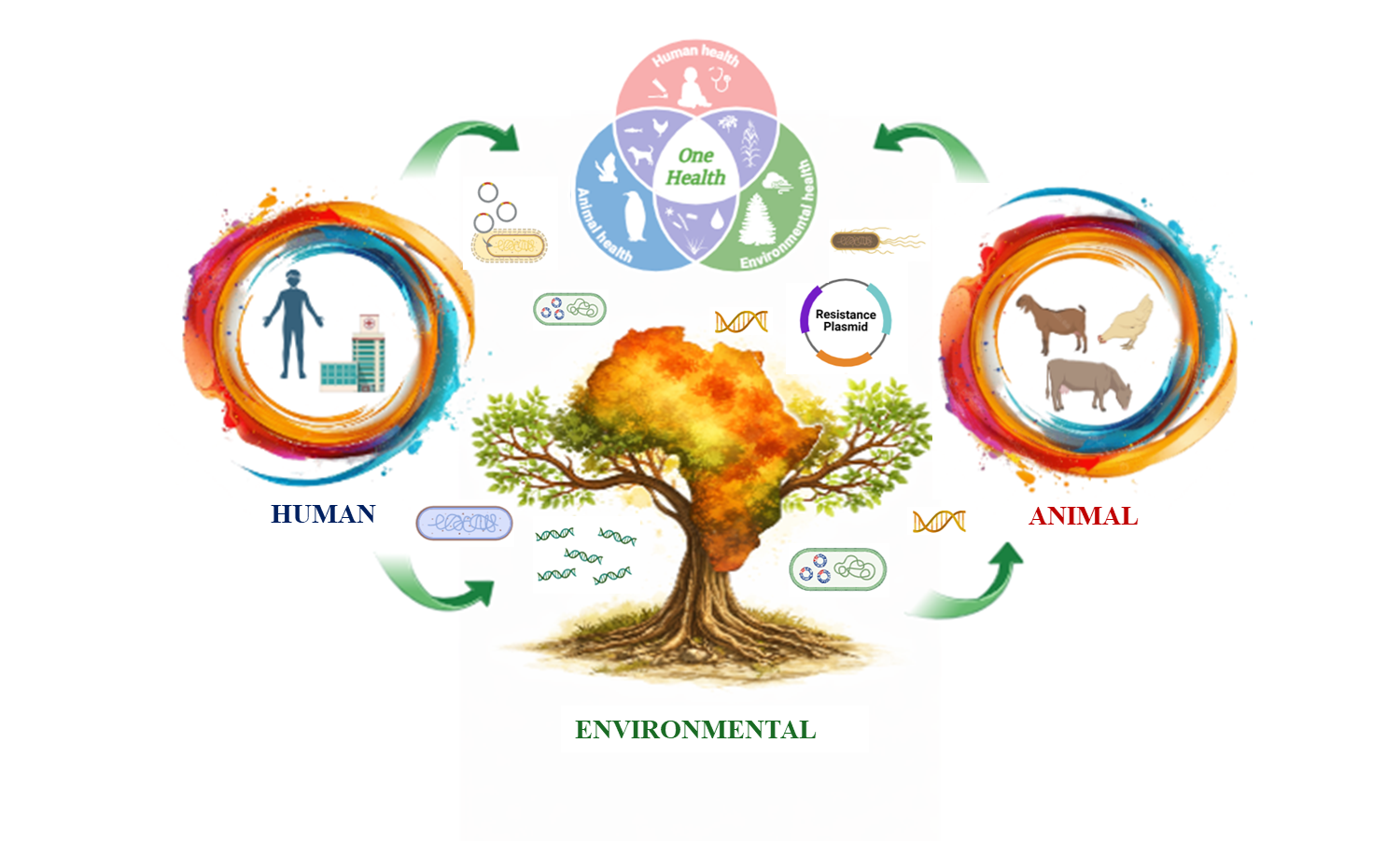 Molecular epidemiological exploration of carbapenem-resistant Enterobacteriaceae in Africa from One Health perspective: a systematic review thumbnail